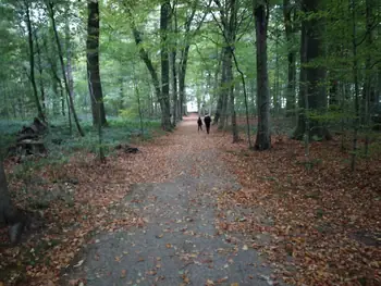 Gaasbeek + Castle of Gaasbeek (Lennik, Belgium)